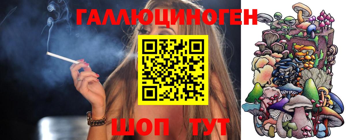 что такое   Псилоцибиновые грибы GOLDEN TEACHER  Псилоцибиновые грибы прущие грибы  Вход с VPN  Вязники 