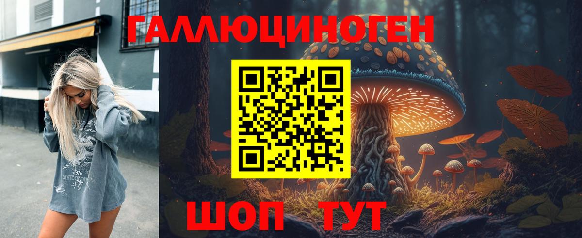 Псилоцибиновые грибы GOLDEN TEACHER Вязники