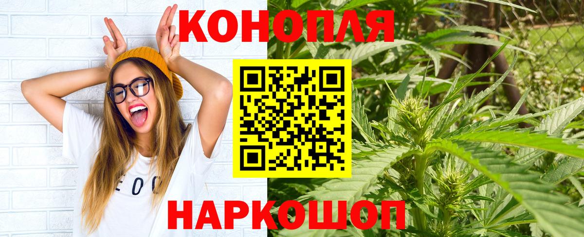 Шишки марихуана семена Вязники